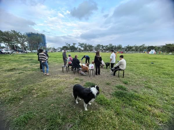 台東缺乏友善動物的運動場所，陳允萍貼文爭取毛孩活動權益